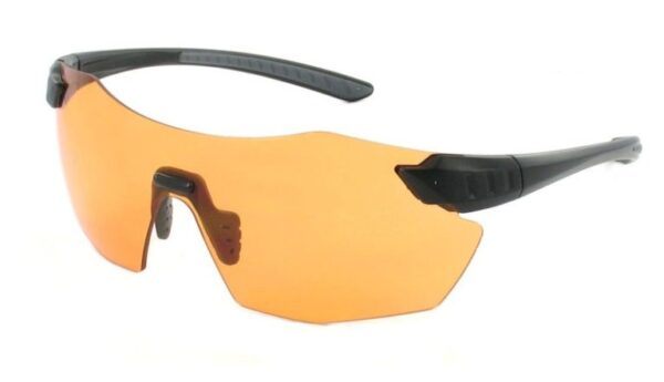Chameleon Orange laskmisprillid