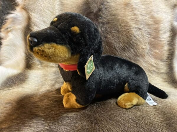 Taks, punase rihmaga (32 cm)