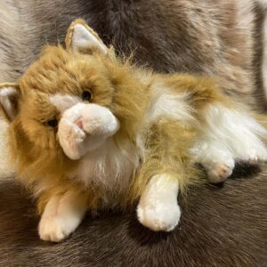 Kaisuloom “Kass 2” lamav (30 cm), oranž