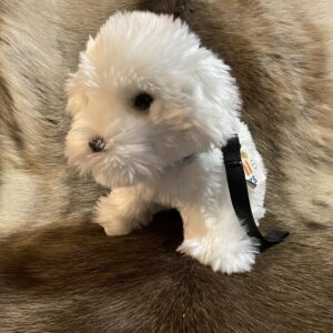 Kaisuloom "Malta koer rihmaga" (27 cm)