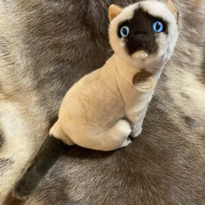 Kaisuloom “Kass” (27 cm), siiam