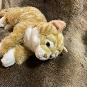 Kaisuloom “Kass” lamav (35 cm), oranž