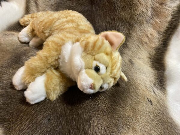 Kaisuloom “Kass” lamav (35 cm), oranž