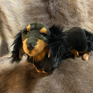 Taks, pikakarvaline (30 cm)