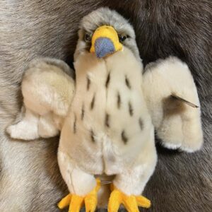 Kaisuloom "Kotkas 2" (26 cm)