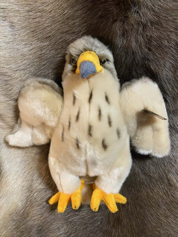 Kaisuloom "Kotkas 2" (26 cm)